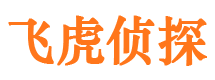 武陵源婚外情调查取证